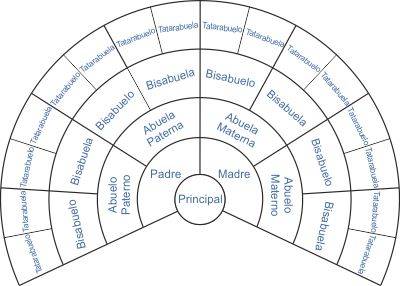 Árbol genealógico en abanico