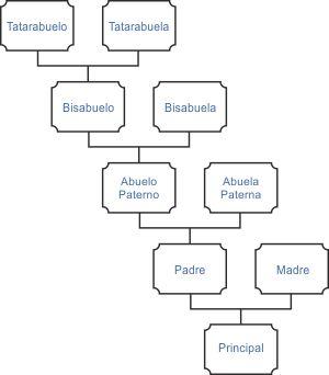 Árbol genealógico por línea de apellido