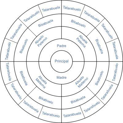 Arbol genealogico circular