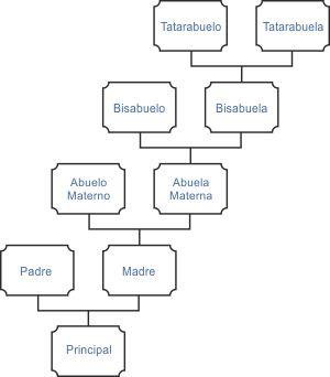 Árbol genealógico por línea materna