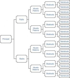 esquema de antepasados de costados