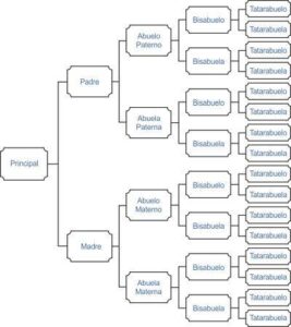 Árbol lineal de antepasados