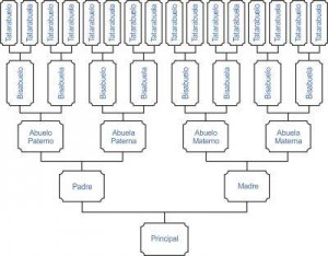 Ascendencia y Descendencia - Árbol genealógico de Antepasados