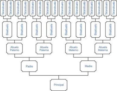 Cómo dibujar un árbol genealógico