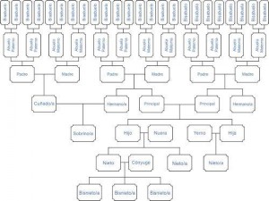 Estudios genealógicos mixtos