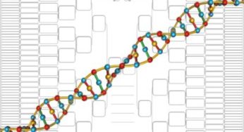 Test de ADN para saber el origen de los antepasados