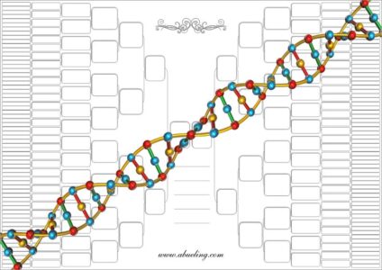 Soluciones a los Árboles Genealógicos para pensar