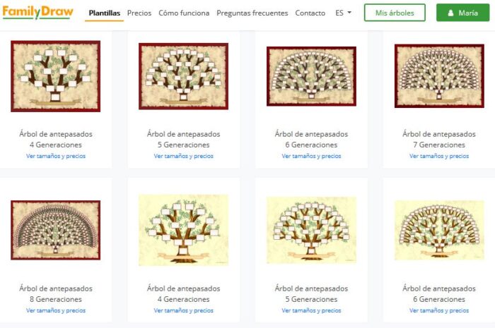 Cómo hacer tu árbol familiar con FamilyDraw