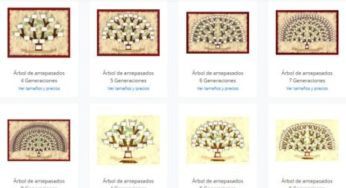 Cómo hacer tu árbol familiar con FamilyDraw
