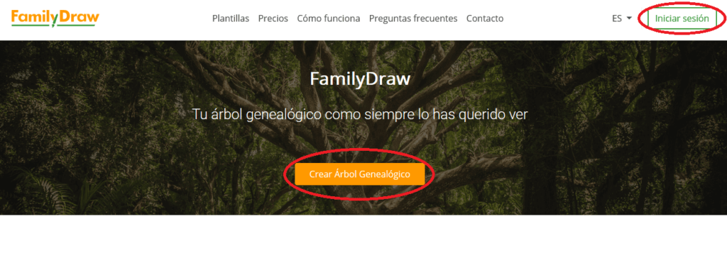 Iniciar sesión en FamilyDraw