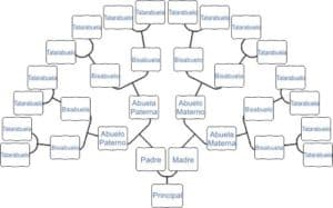 esquema distribución personas en el árbol familiar