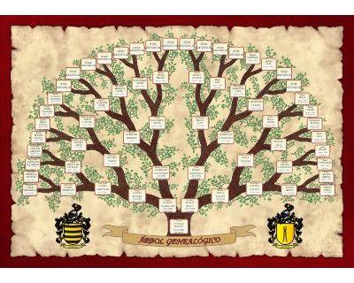 Ancestors Family tree Tree-shaped design
