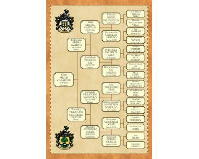 Ancestors Family tree Linear design