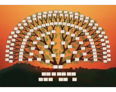 Ancestors Family tree Tree-shaped design