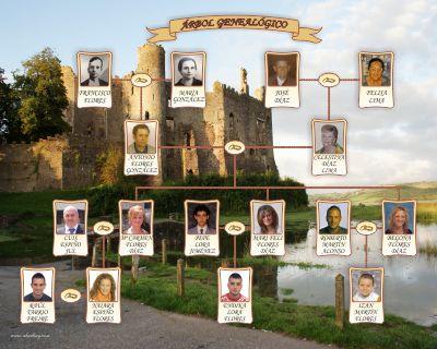Mixed family tree Linear design